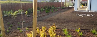Ogród 8